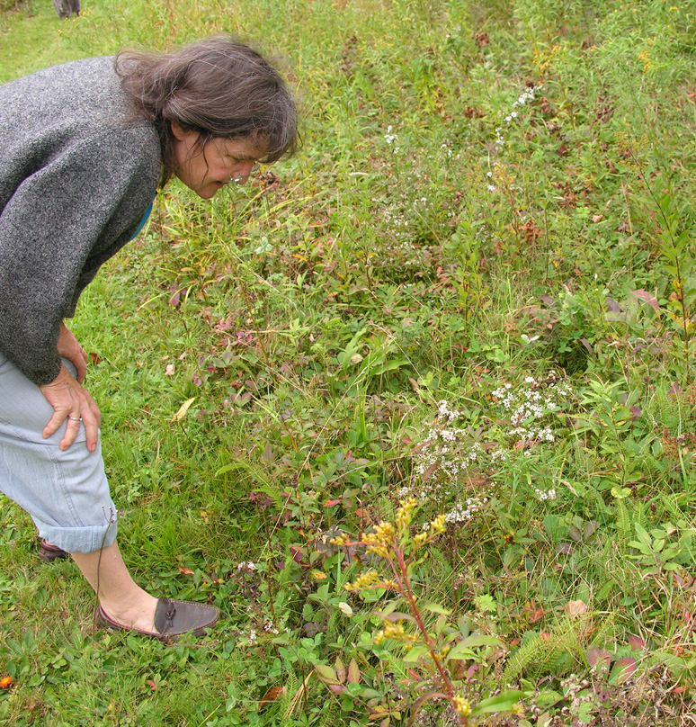 Karen in field